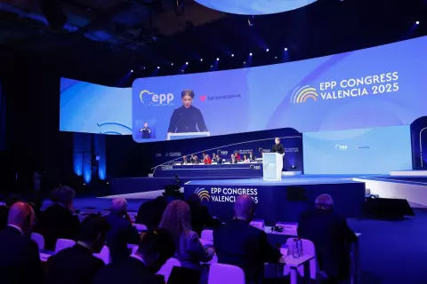 Прийнято резолюцію ЄНП про солідарність з Україною в Валенсії, Іспанія