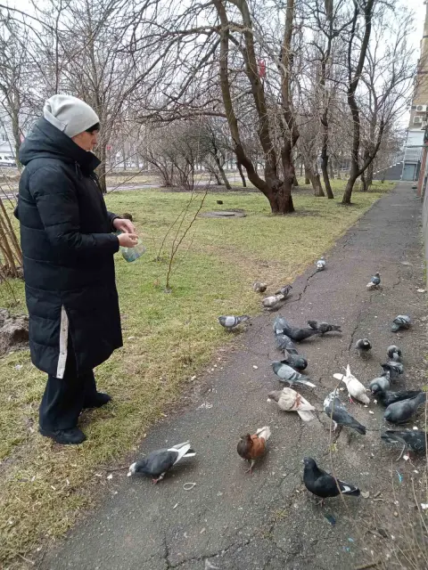 WhatsApp Image 2026-02-17 at кянк09.56.47.jpeg