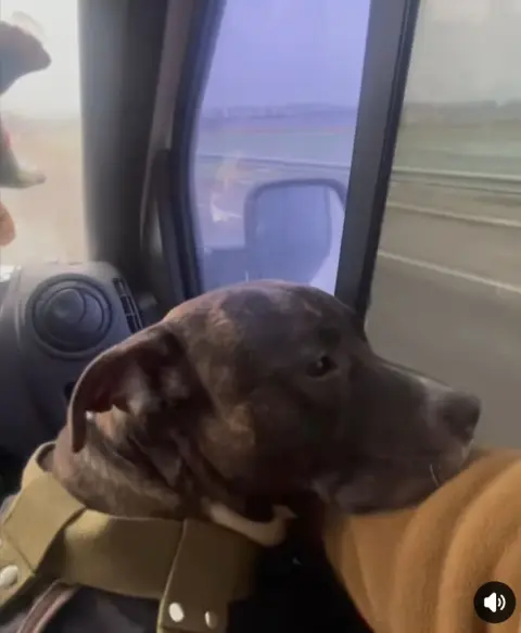 WhatsApp Image 2026-02-17 aяукніяt 09.56.47.jpeg