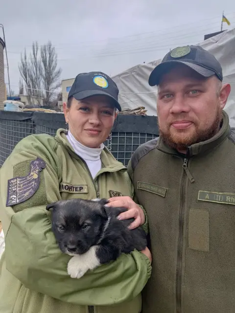 WhatsApp Image 2026-02-17 at іупп09.56.41.jpeg